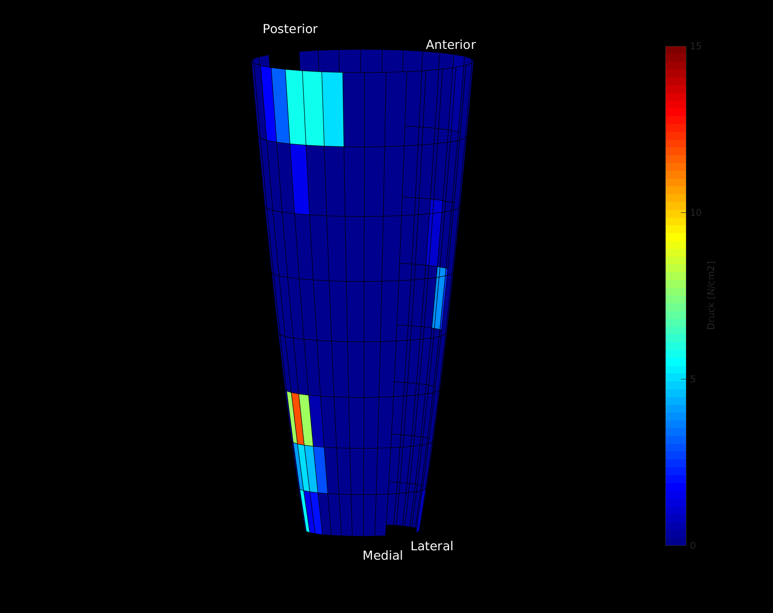 Messtechnik Labor für angewandte Biomechanik GmbH